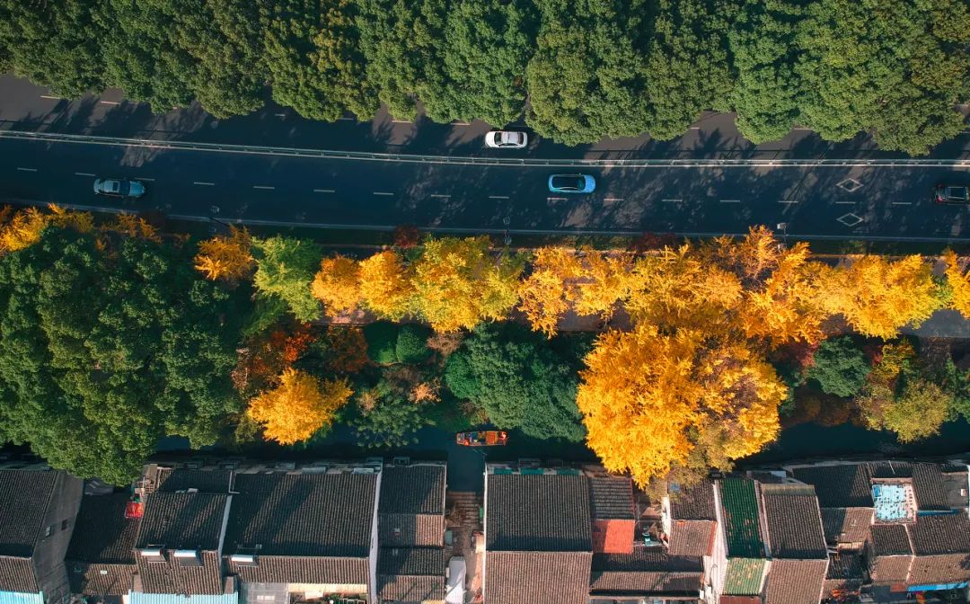 Image related to Suzhou in Verse: China's Most Serene Ancient City for Autumn Bliss