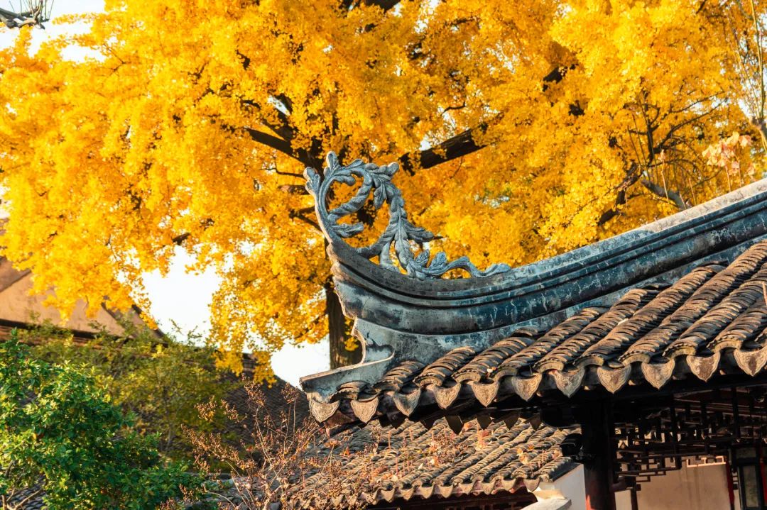 Image related to Suzhou in Verse: China's Most Serene Ancient City for Autumn Bliss