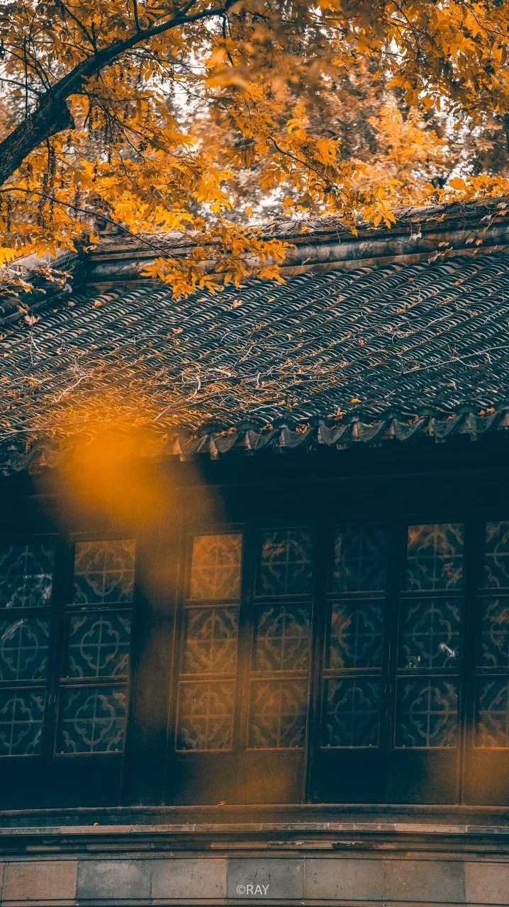 Image related to Suzhou in Verse: China's Most Serene Ancient City for Autumn Bliss
