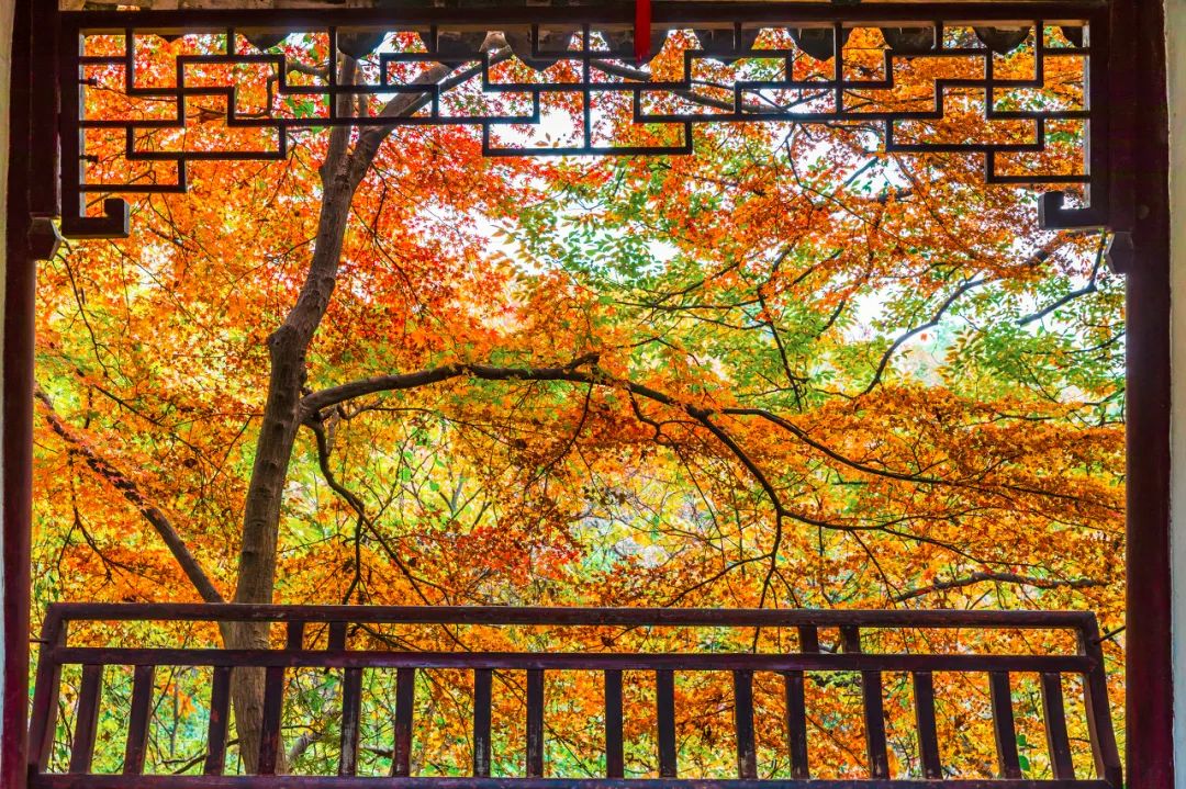 Image related to Suzhou in Verse: China's Most Serene Ancient City for Autumn Bliss