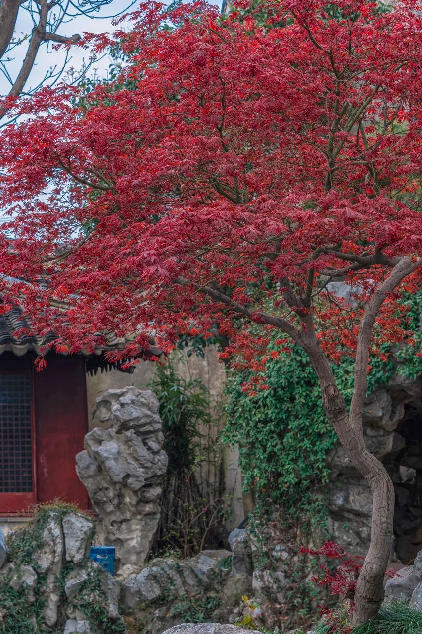 Image related to Suzhou in Verse: China's Most Serene Ancient City for Autumn Bliss