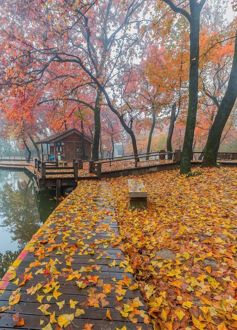 Image related to Suzhou in Verse: China's Most Serene Ancient City for Autumn Bliss