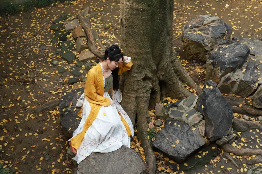 Image related to Suzhou in Verse: China's Most Serene Ancient City for Autumn Bliss