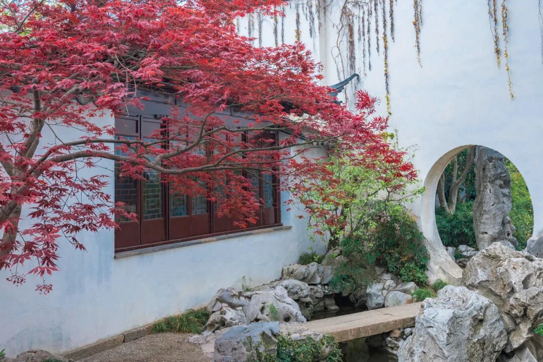 Image related to Suzhou in Verse: China's Most Serene Ancient City for Autumn Bliss