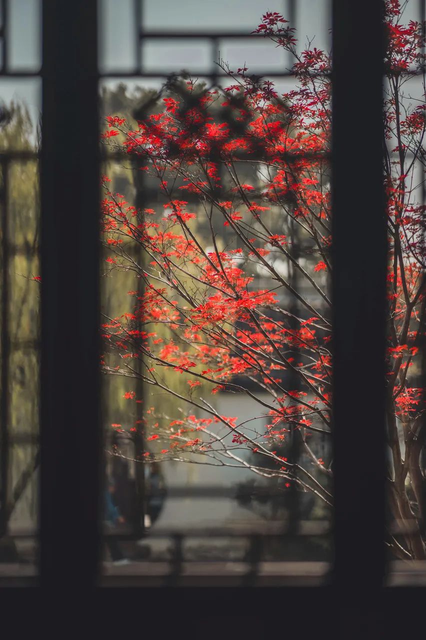 Image related to Suzhou in Verse: China's Most Serene Ancient City for Autumn Bliss