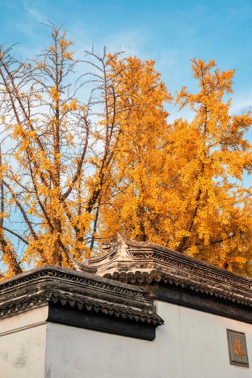 Image related to Suzhou in Verse: China's Most Serene Ancient City for Autumn Bliss