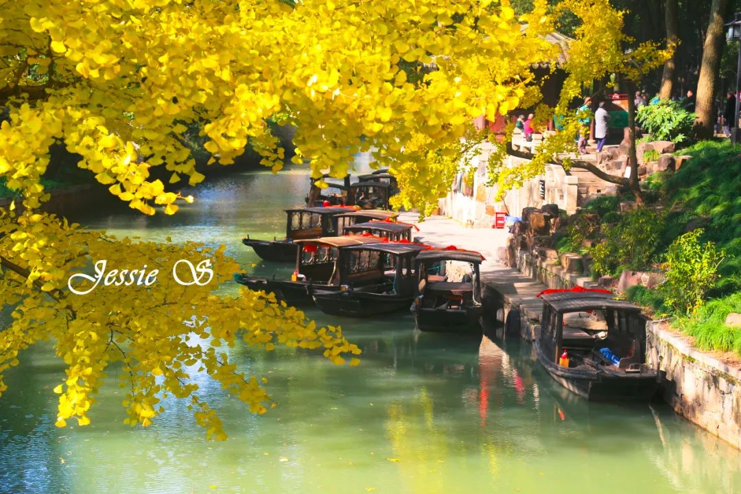 Image related to Suzhou in Verse: China's Most Serene Ancient City for Autumn Bliss