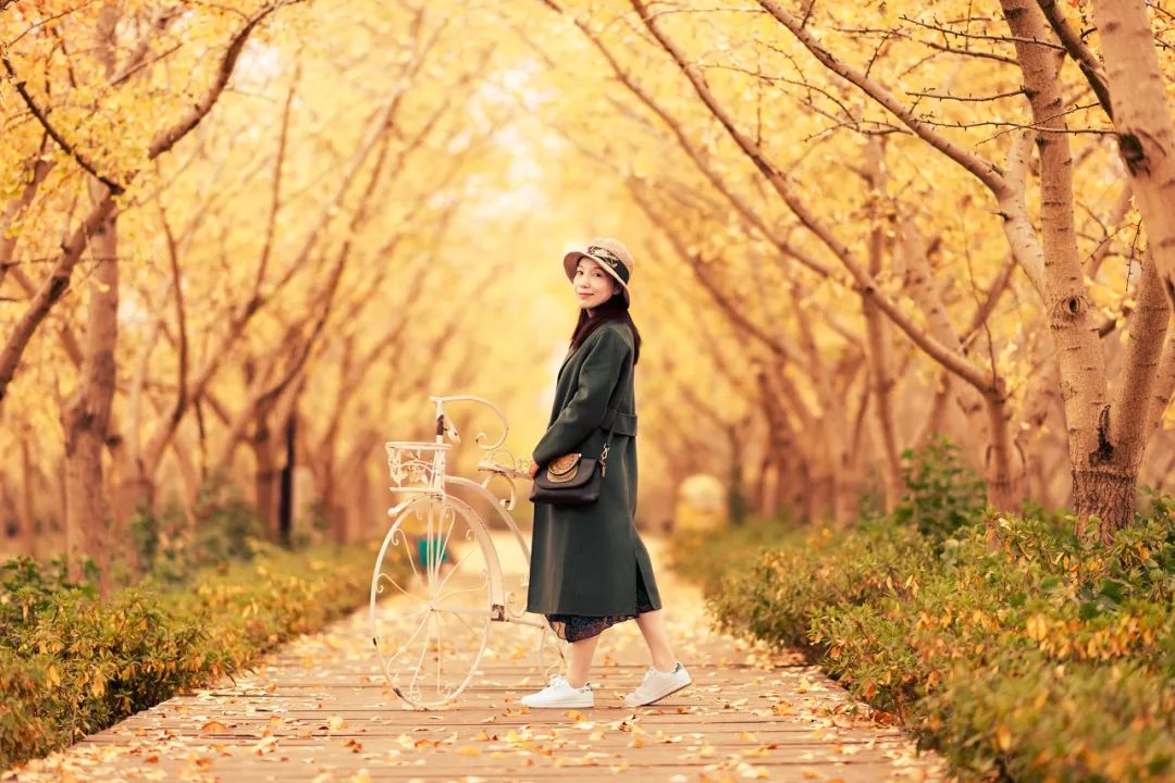 Image related to Suzhou in Verse: China's Most Serene Ancient City for Autumn Bliss