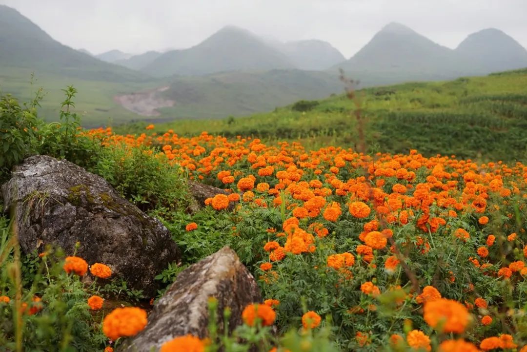 Image related to Wenshan: Yunnan's Scenic Slow-Paced Gem, Twice as Charming as Kunming Yet Half as Touristy as Lijiang
