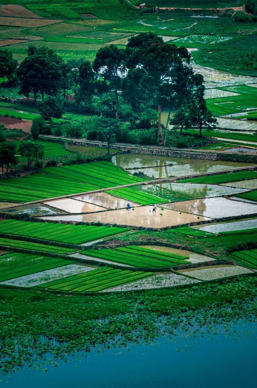 Image related to Wenshan: Yunnan's Scenic Slow-Paced Gem, Twice as Charming as Kunming Yet Half as Touristy as Lijiang