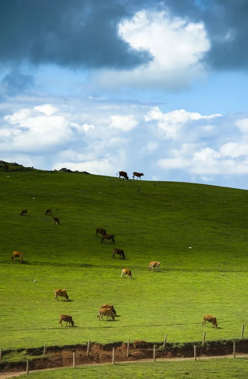 Image related to Wenshan: Yunnan's Scenic Slow-Paced Gem, Twice as Charming as Kunming Yet Half as Touristy as Lijiang