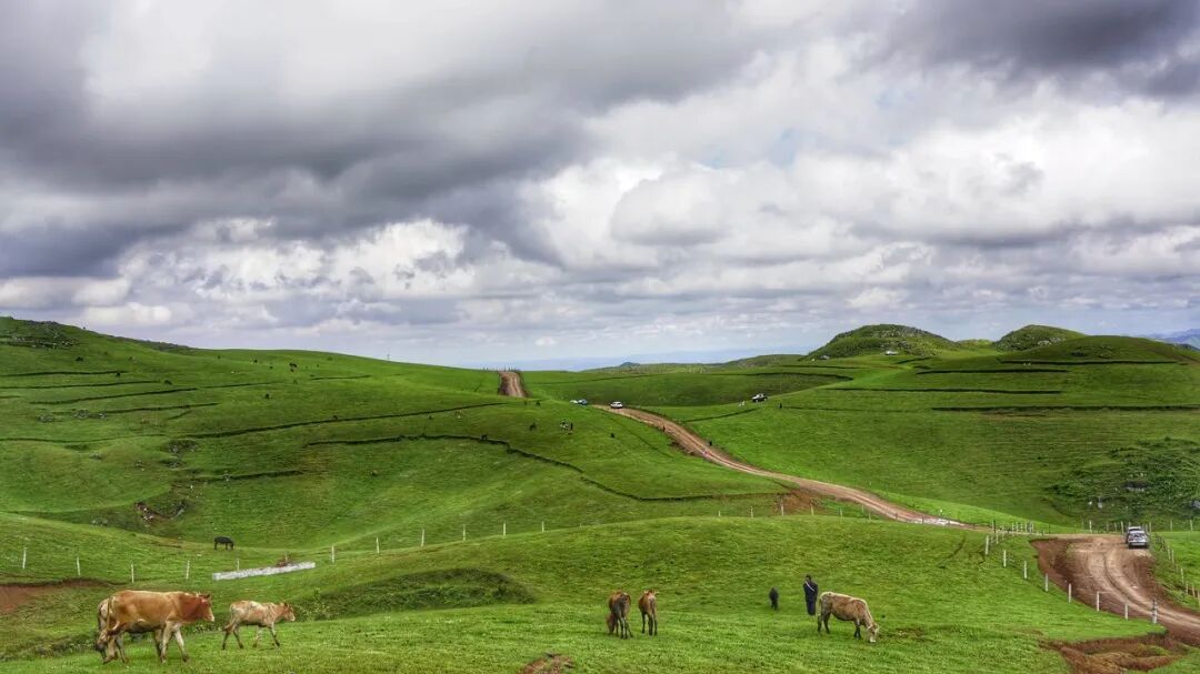 Image related to Wenshan: Yunnan's Scenic Slow-Paced Gem, Twice as Charming as Kunming Yet Half as Touristy as Lijiang