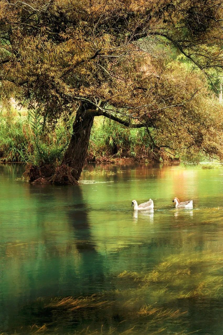 Image related to Wenshan: Yunnan's Scenic Slow-Paced Gem, Twice as Charming as Kunming Yet Half as Touristy as Lijiang