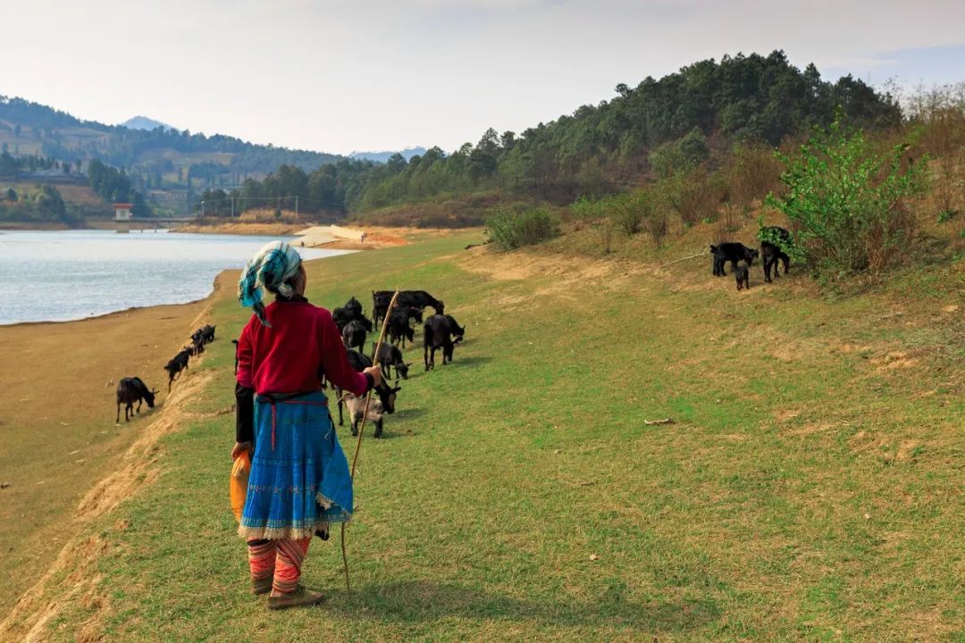 Image related to Wenshan: Yunnan's Scenic Slow-Paced Gem, Twice as Charming as Kunming Yet Half as Touristy as Lijiang