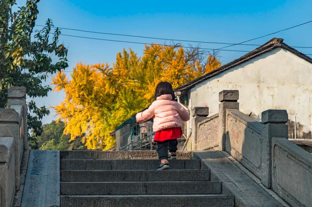 Image related to Suzhou in Verse: China's Most Serene Ancient City for Autumn Bliss