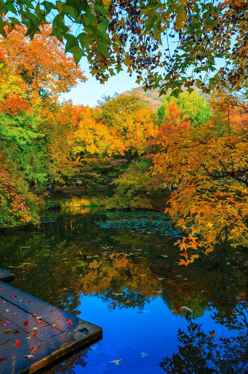 Image related to Suzhou in Verse: China's Most Serene Ancient City for Autumn Bliss