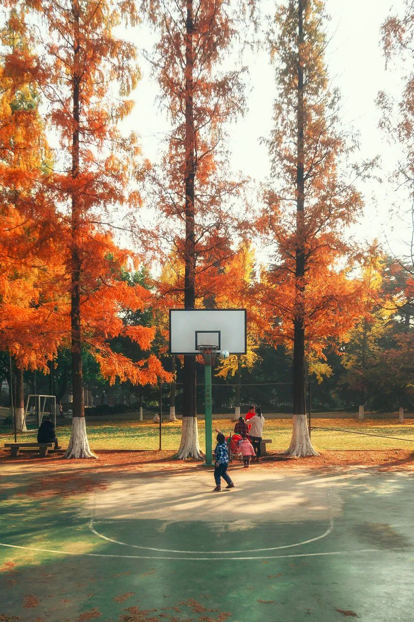 Image related to Suzhou in Verse: China's Most Serene Ancient City for Autumn Bliss
