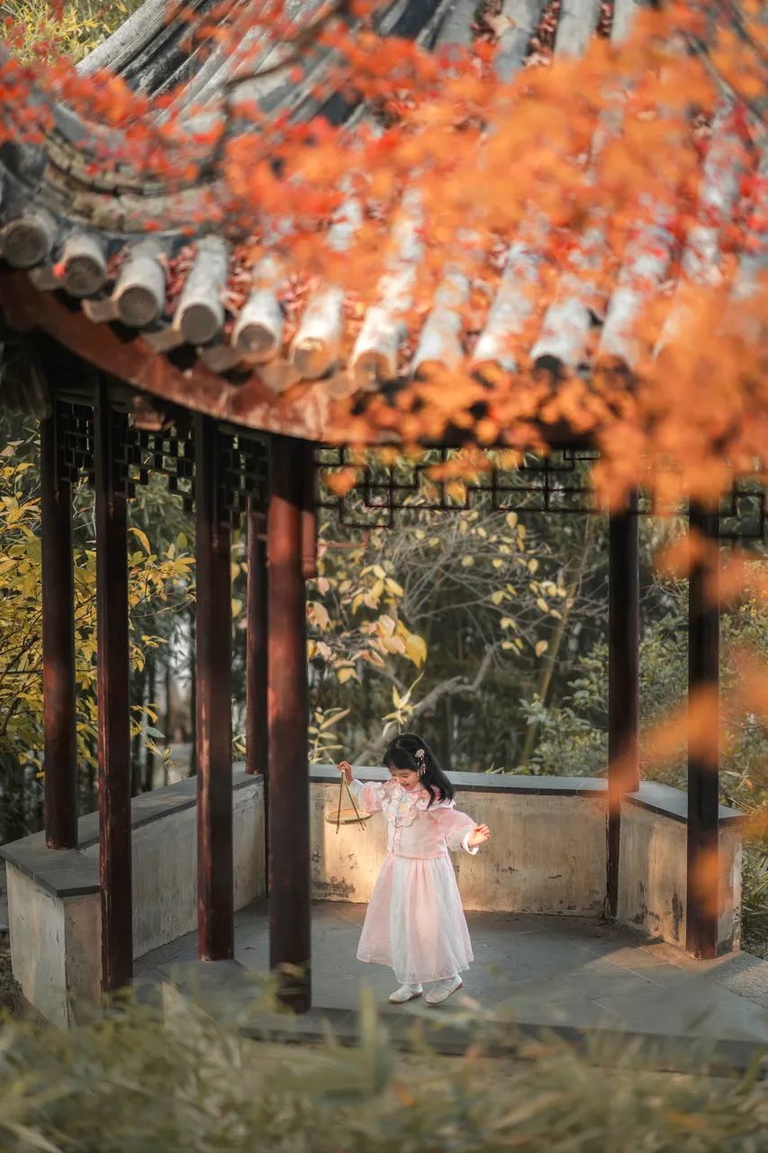 Image related to Suzhou in Verse: China's Most Serene Ancient City for Autumn Bliss