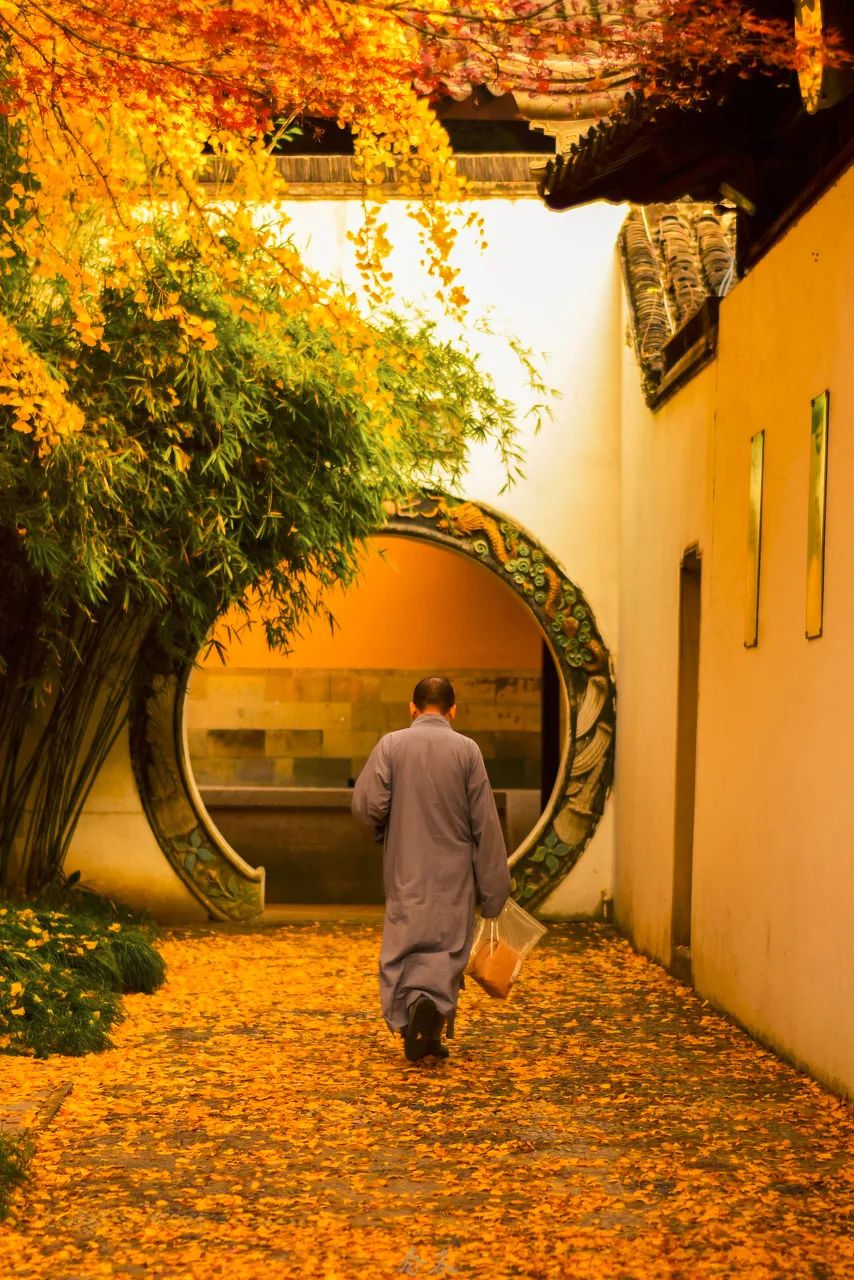 Image related to Suzhou in Verse: China's Most Serene Ancient City for Autumn Bliss
