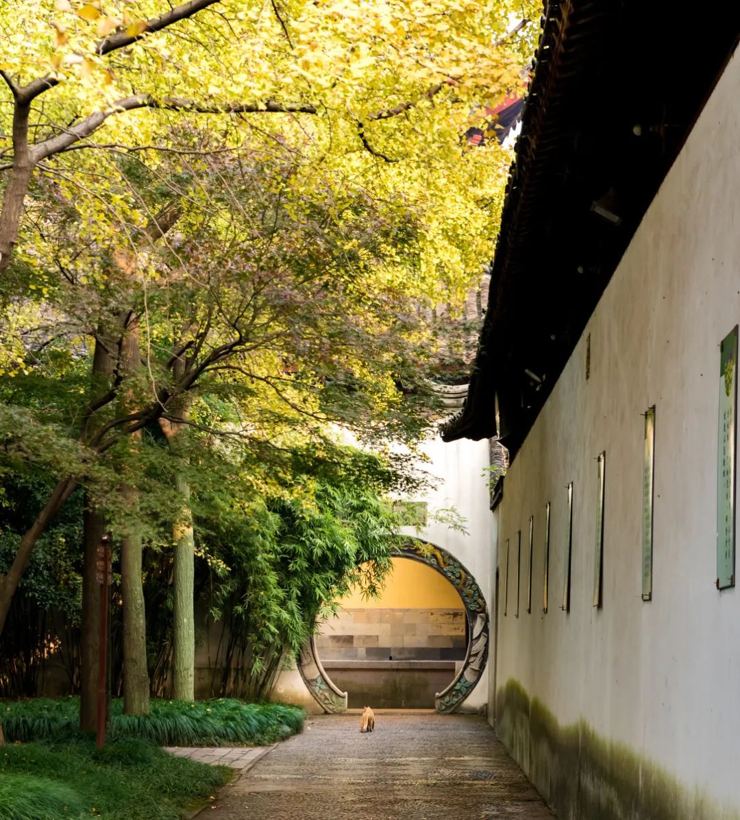 Image related to Suzhou in Verse: China's Most Serene Ancient City for Autumn Bliss