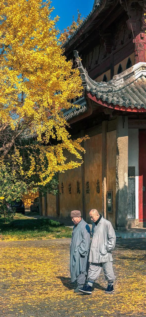 Image related to Suzhou in Verse: China's Most Serene Ancient City for Autumn Bliss