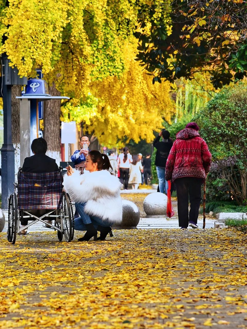 Image related to Suzhou in Verse: China's Most Serene Ancient City for Autumn Bliss