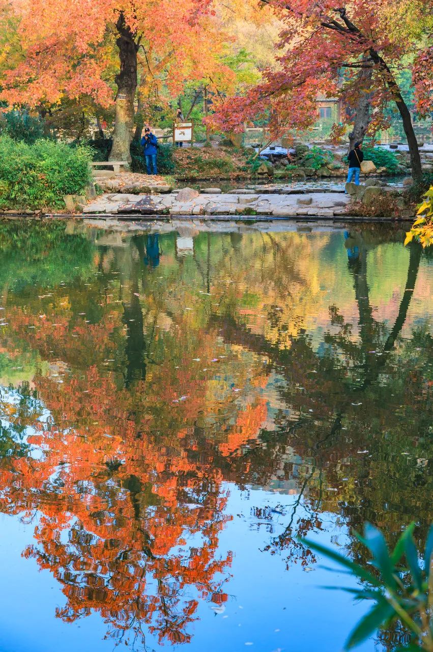 Image related to Suzhou in Verse: China's Most Serene Ancient City for Autumn Bliss