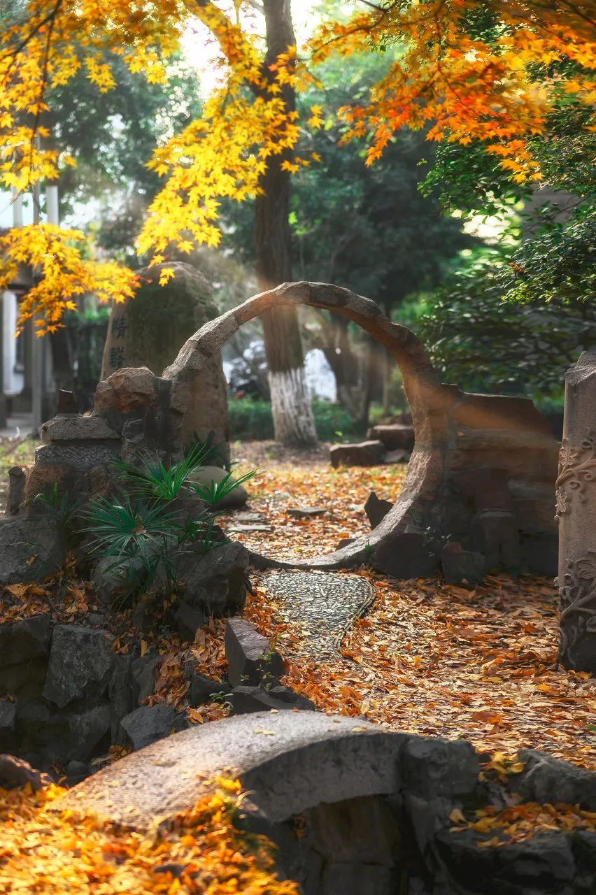 Image related to Suzhou in Verse: China's Most Serene Ancient City for Autumn Bliss