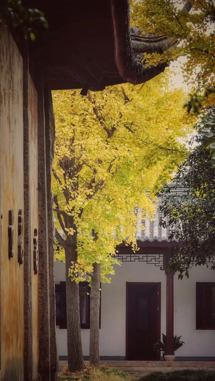 Image related to Suzhou in Verse: China's Most Serene Ancient City for Autumn Bliss