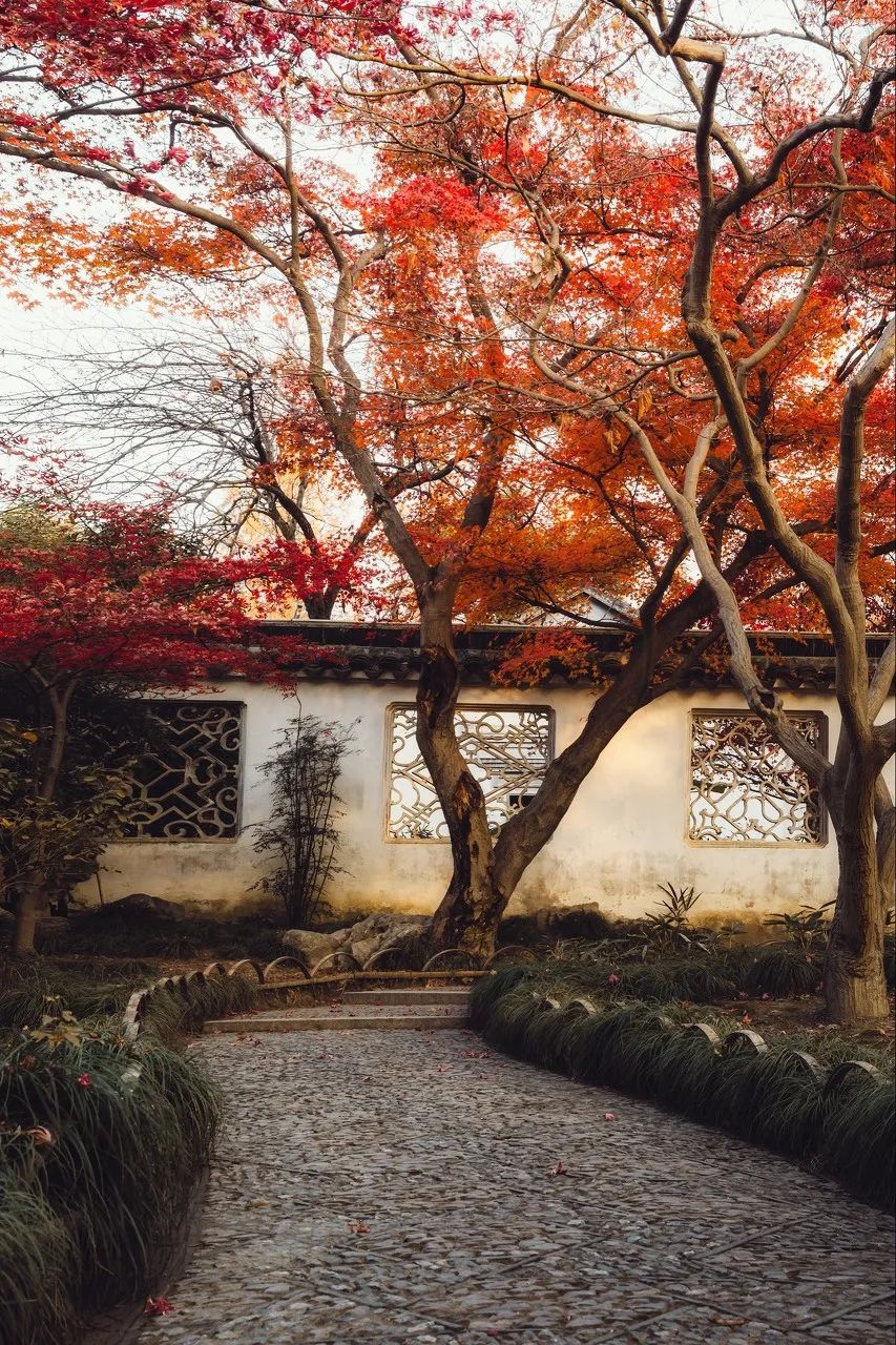 Image related to Suzhou in Verse: China's Most Serene Ancient City for Autumn Bliss
