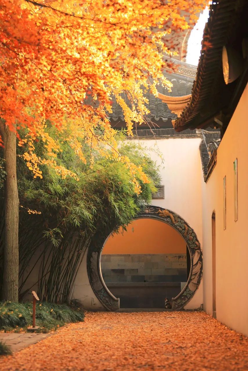 Image related to Suzhou in Verse: China's Most Serene Ancient City for Autumn Bliss