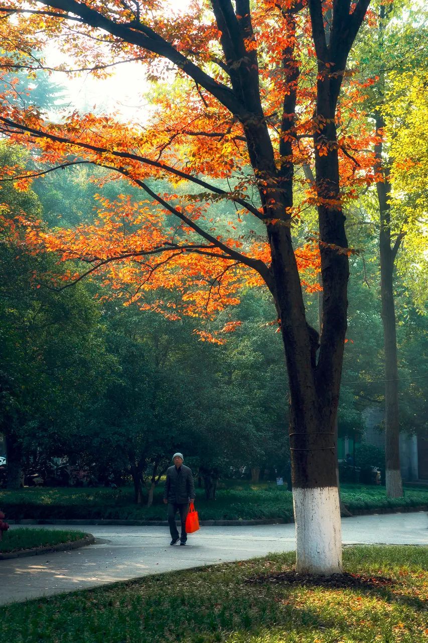 Image related to Suzhou in Verse: China's Most Serene Ancient City for Autumn Bliss