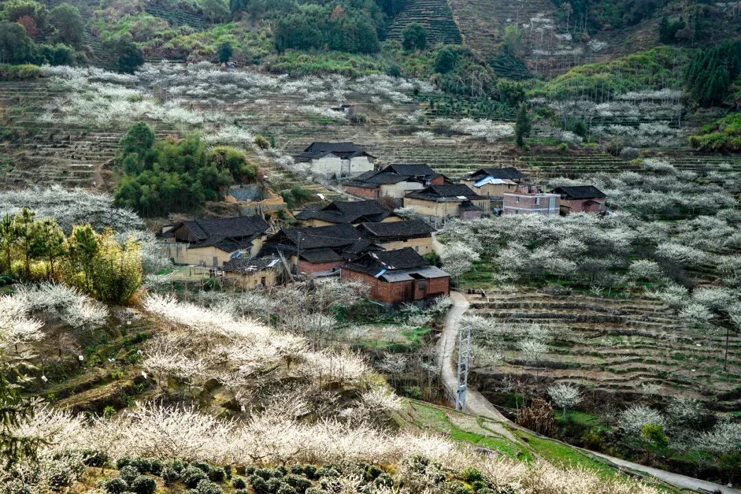 Image related to Fu'an: This Ancient Fujian Town Rivals Guangzhou in Food, Yet Has Fewer Than Half of Xiamen's Tourists