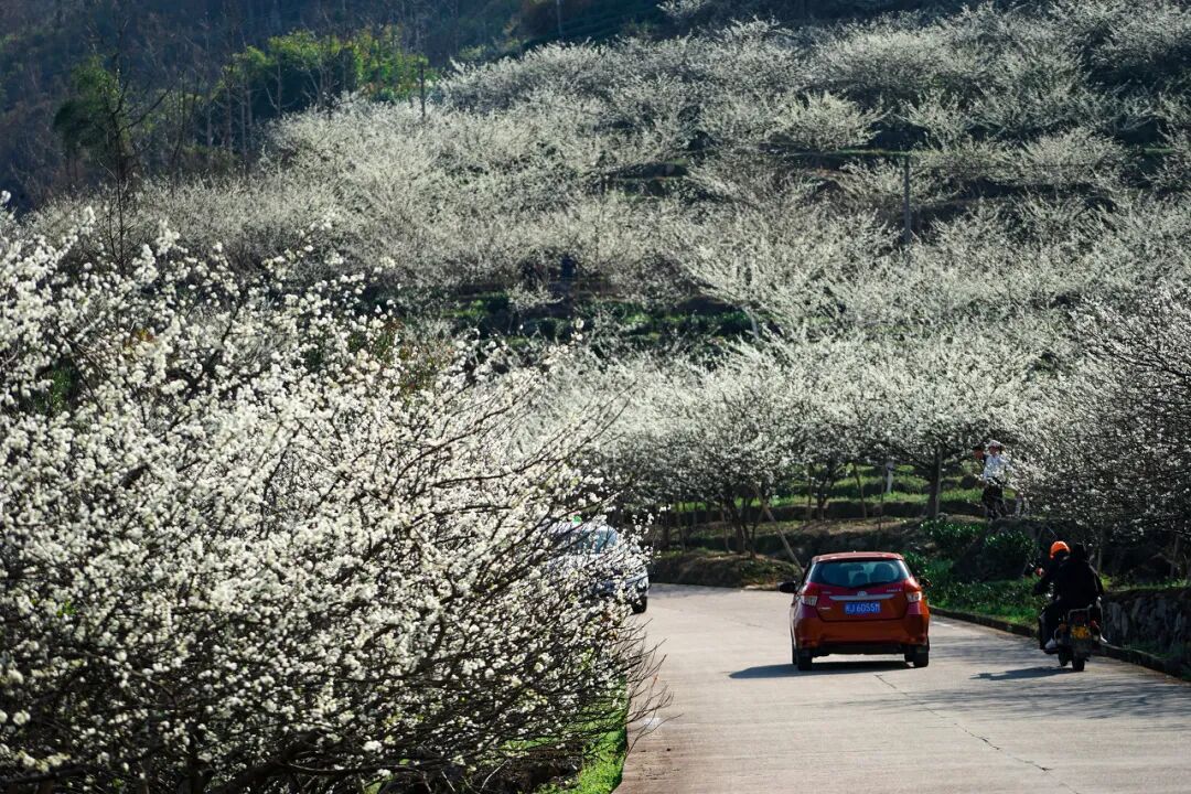 Image related to Fu'an: This Ancient Fujian Town Rivals Guangzhou in Food, Yet Has Fewer Than Half of Xiamen's Tourists