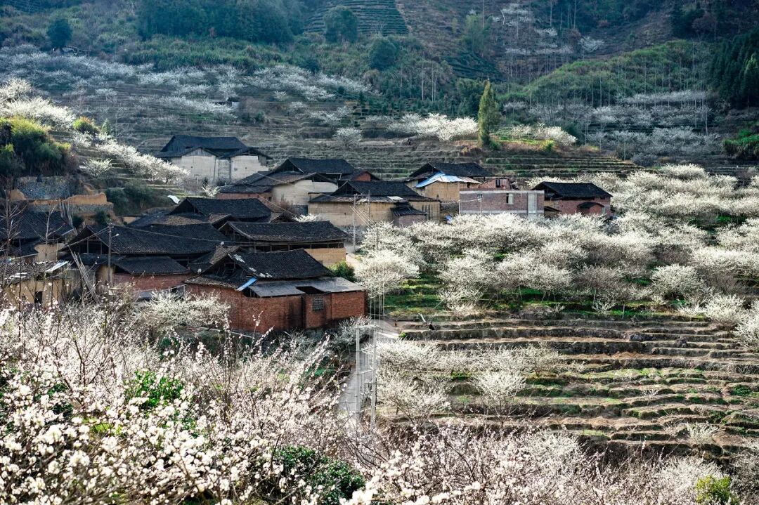 Image related to Fu'an: This Ancient Fujian Town Rivals Guangzhou in Food, Yet Has Fewer Than Half of Xiamen's Tourists