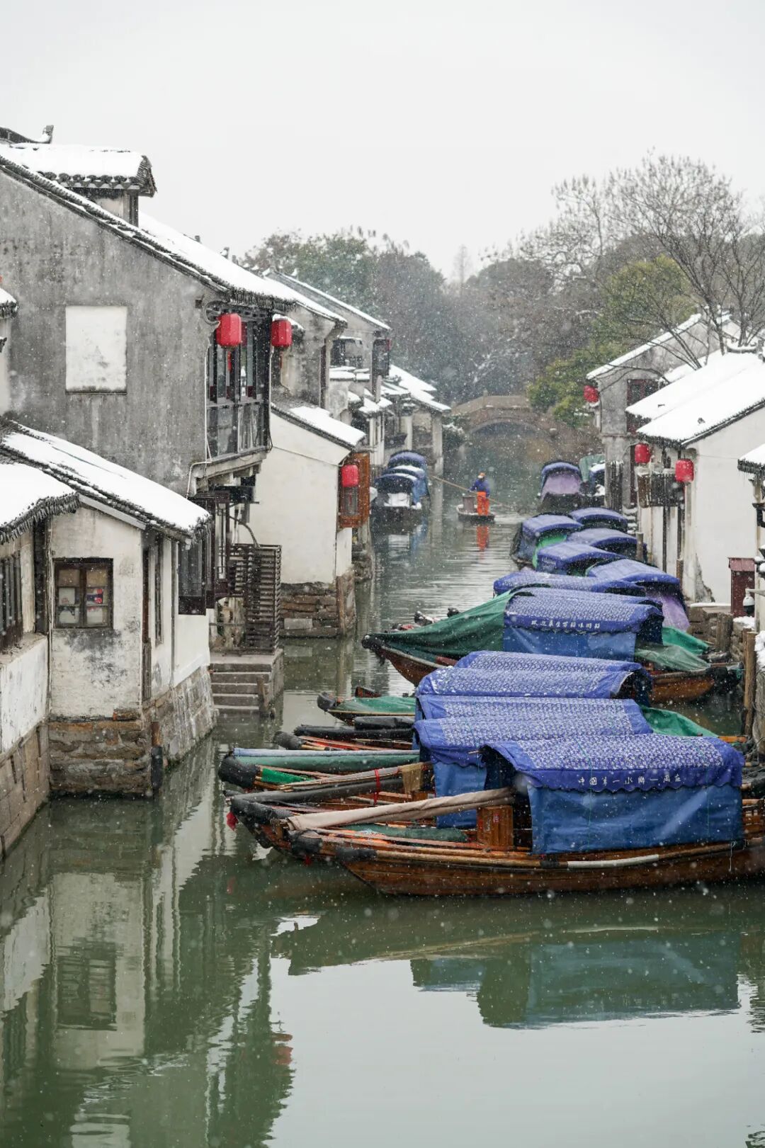 Image related to Southerners Without Heating: Masters of Winter Survival