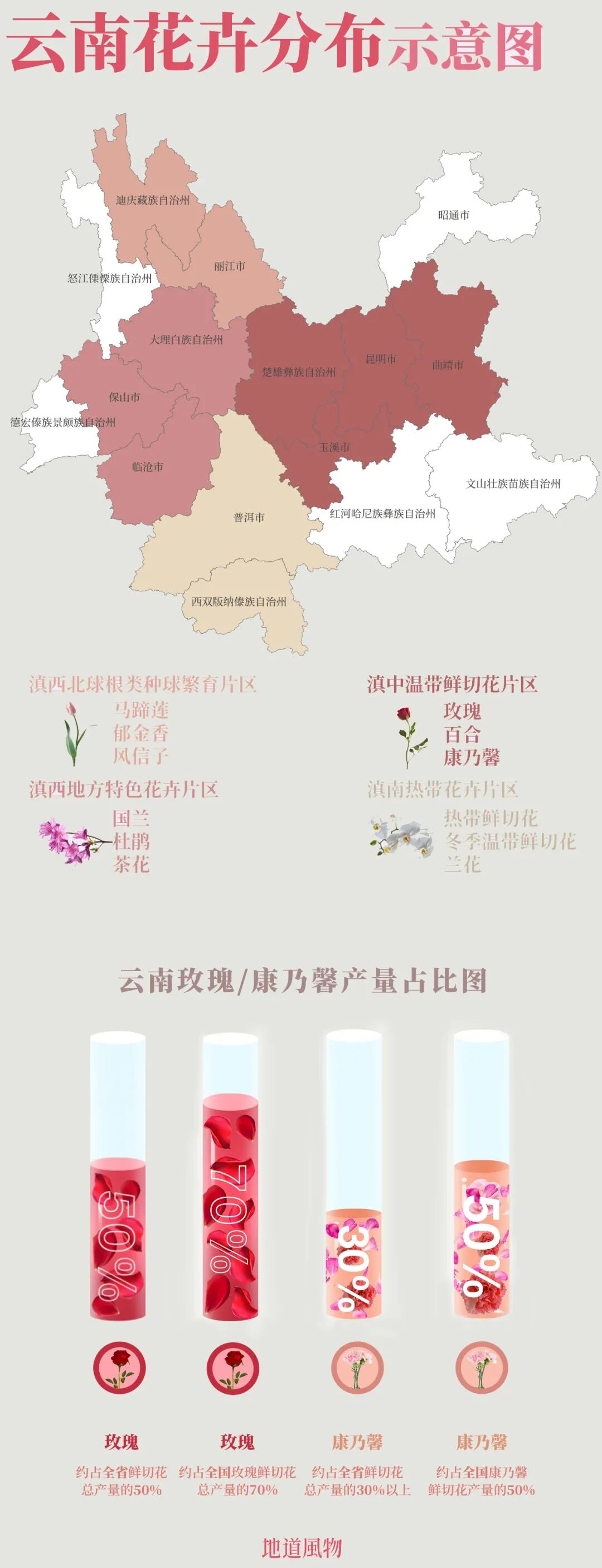 Image related to Yunnan, China: What Makes It the "World's Kingdom of Fresh Flowers"?