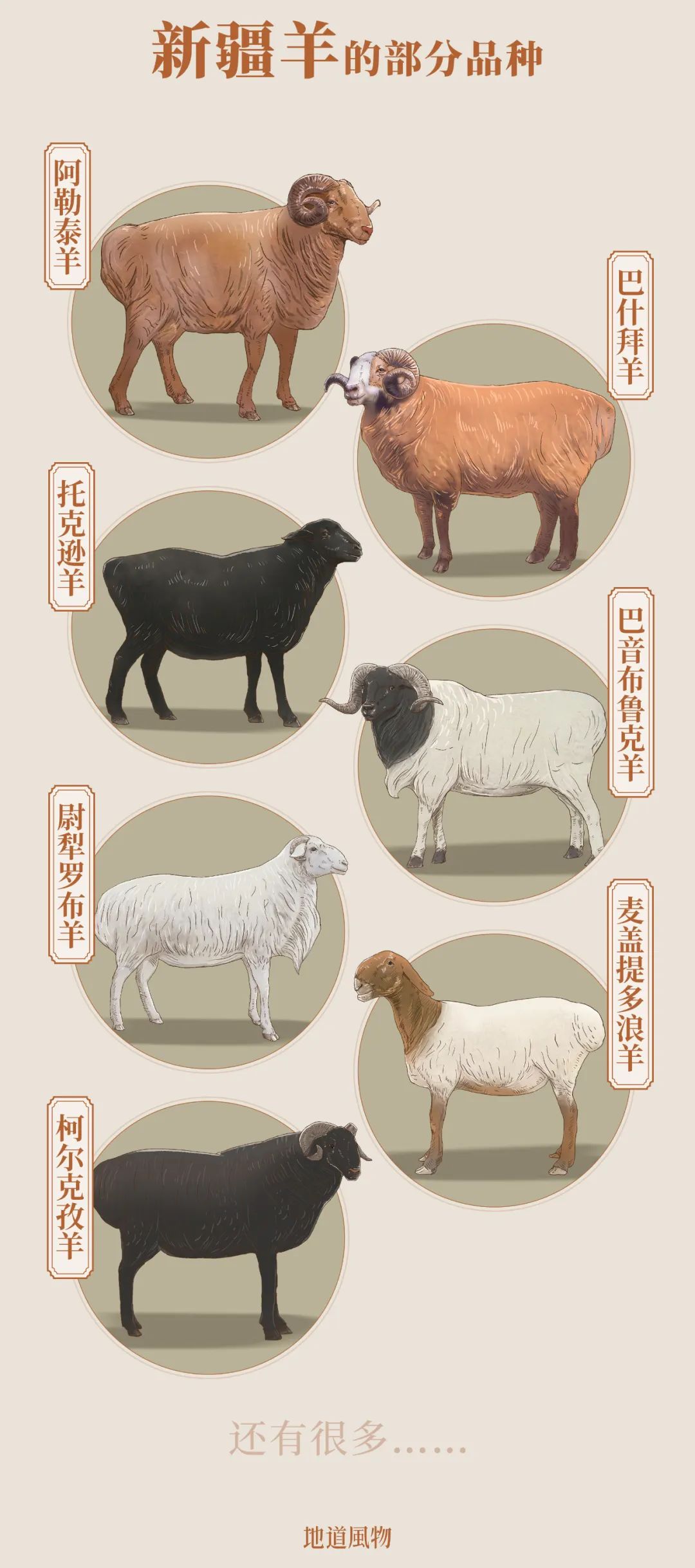Image related to China's Lamb Masters: No One Eats Lamb Like Xinjiang People!