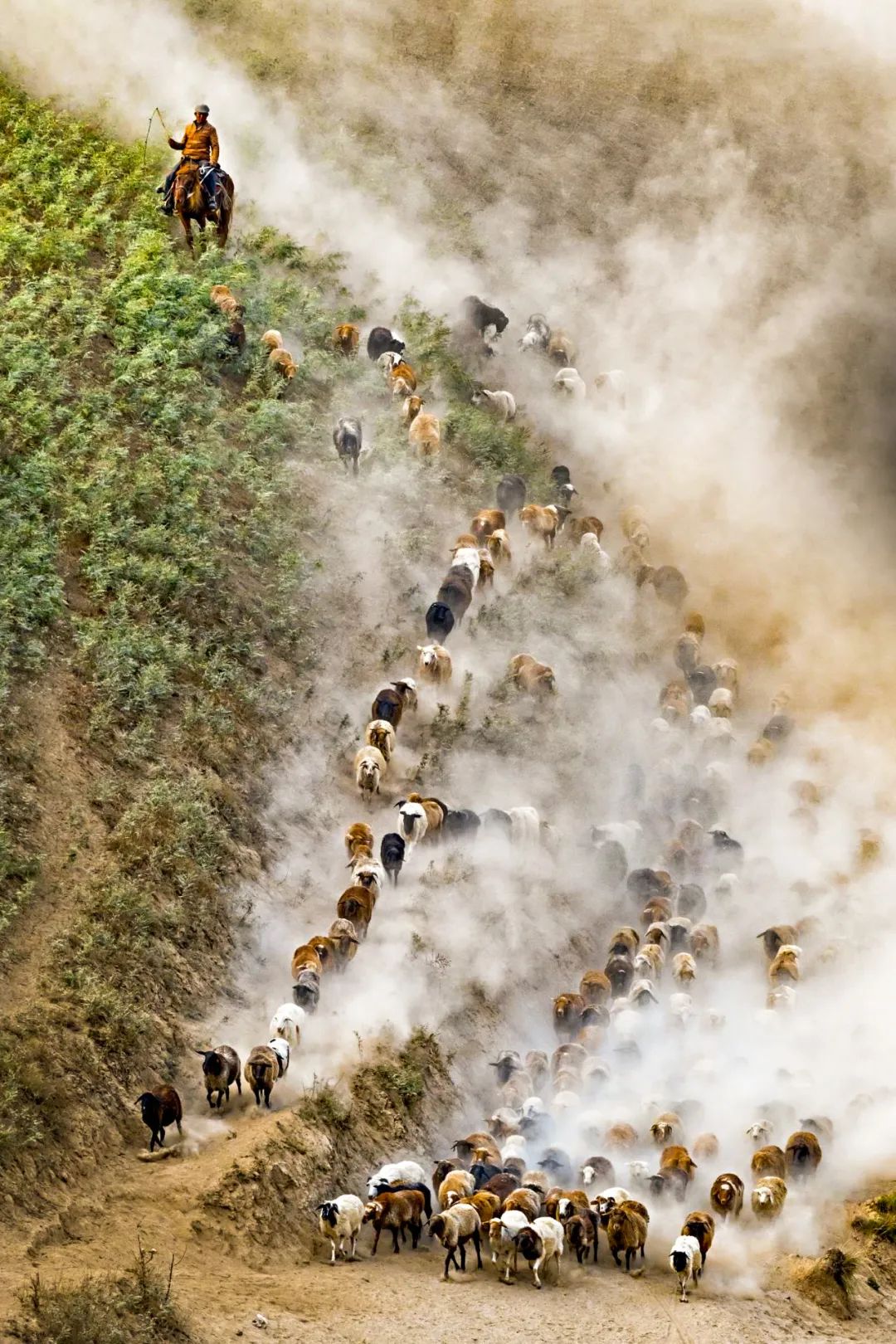 Image related to China's Lamb Masters: No One Eats Lamb Like Xinjiang People!