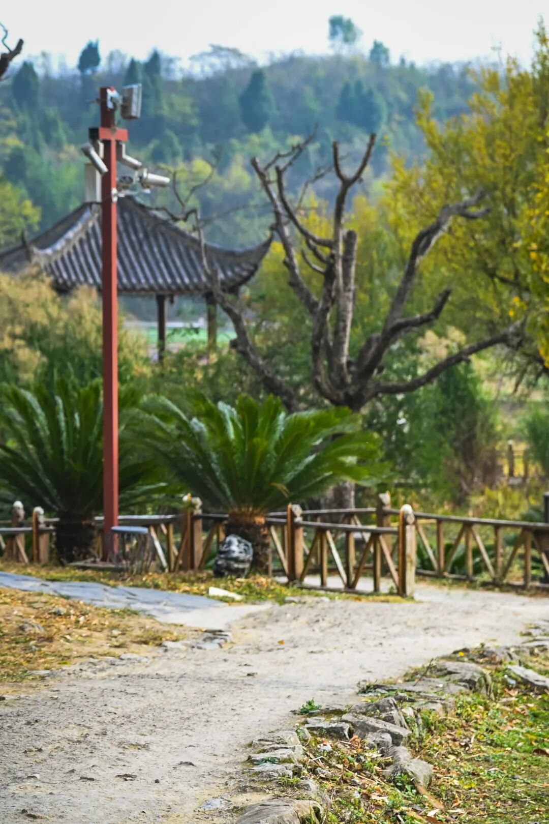 Image related to How the "Guizhou Choice" of the Post-90s and Post-00s 90 Years Ago Changed China