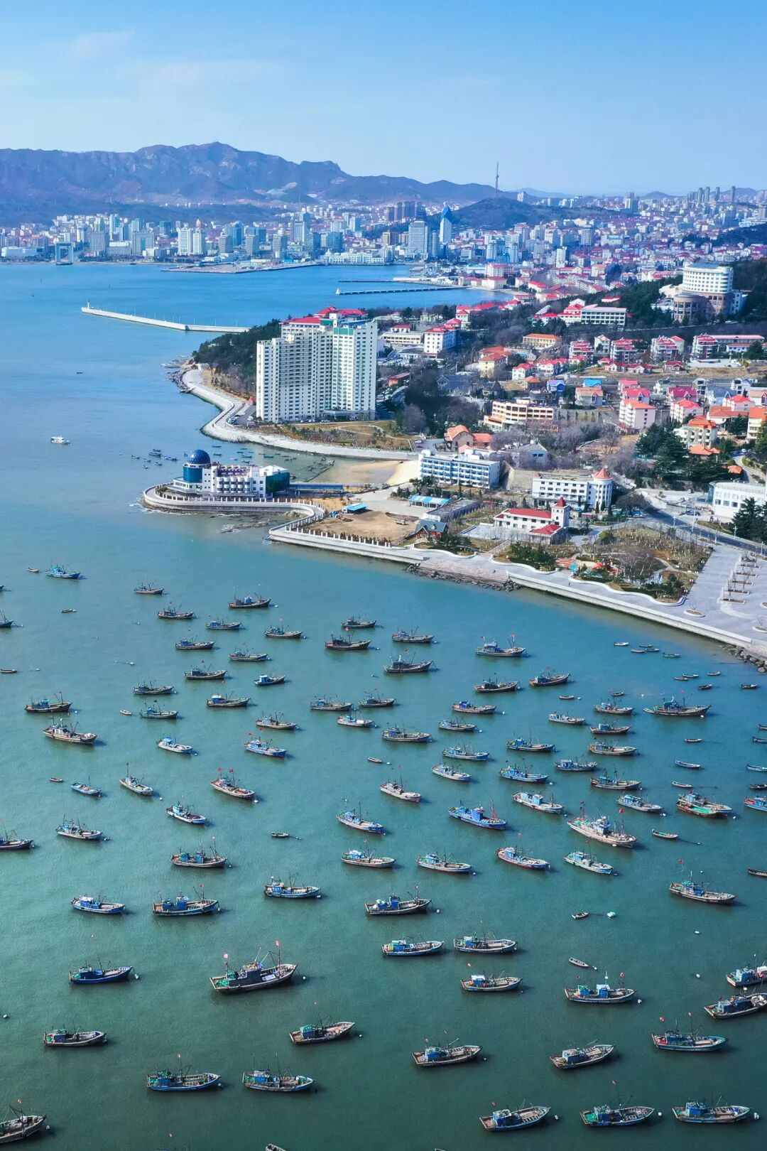 Image related to This City in China's Top Seafood Province Offers Ultimate Oyster Freedom to All