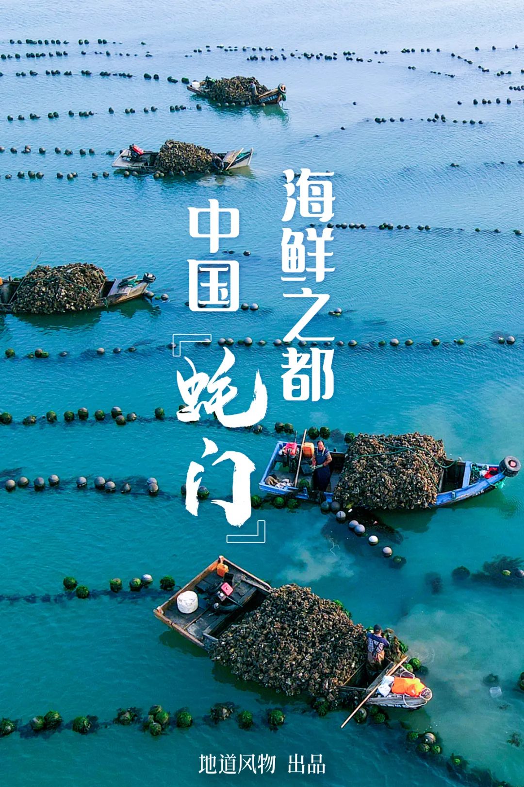 This City in China's Top Seafood Province Offers Ultimate Oyster Freedom to All