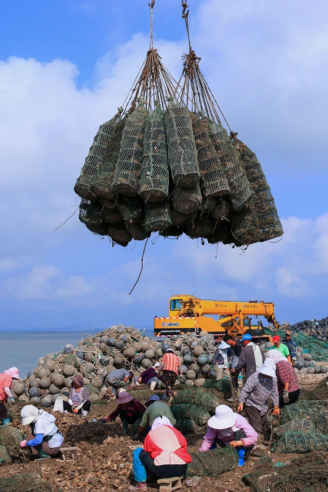 Image related to China's Top Seafood Province: How They're Dominating the Oyster Game