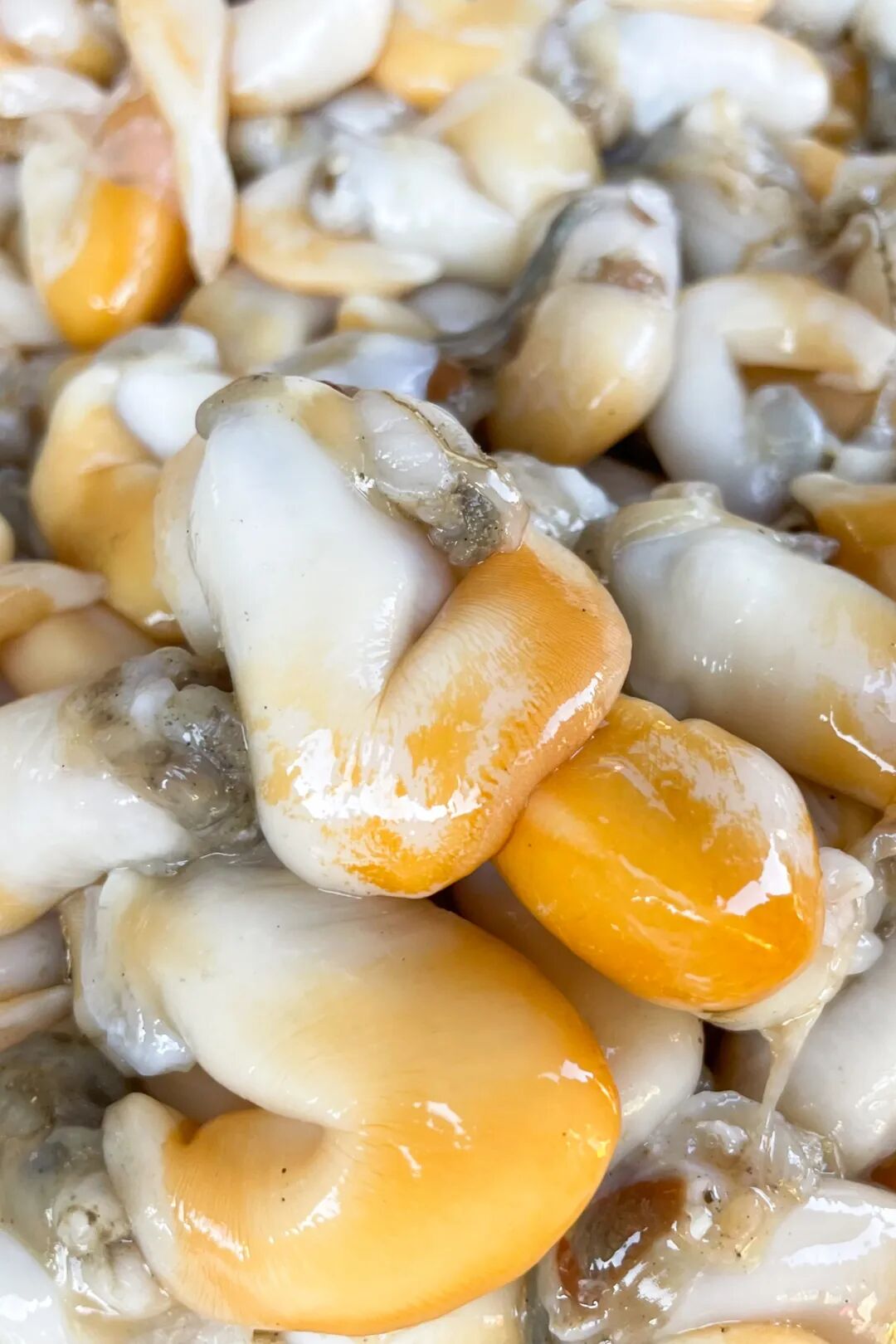 Image related to This City in China's Top Seafood Province Offers Ultimate Oyster Freedom to All