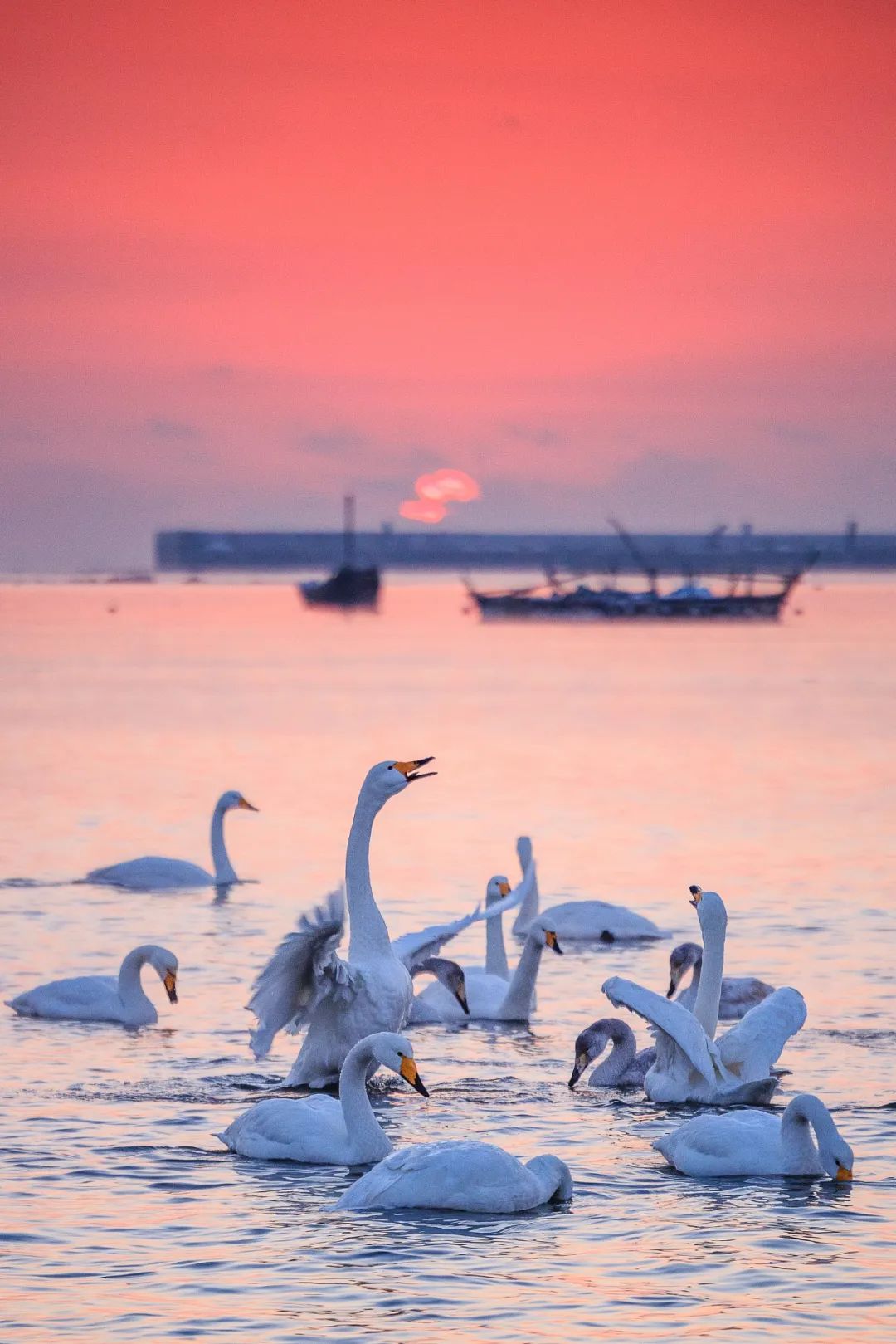Image related to This City in China's Top Seafood Province Offers Ultimate Oyster Freedom to All