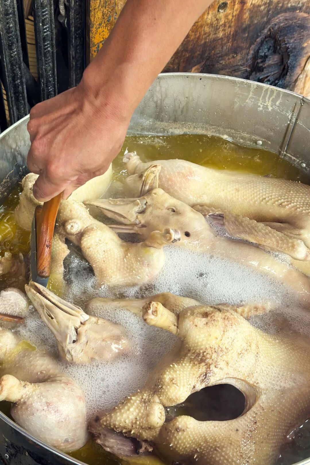 Image related to China's Most Underrated Poultry: Why Is It a Perfect Winter Dish?