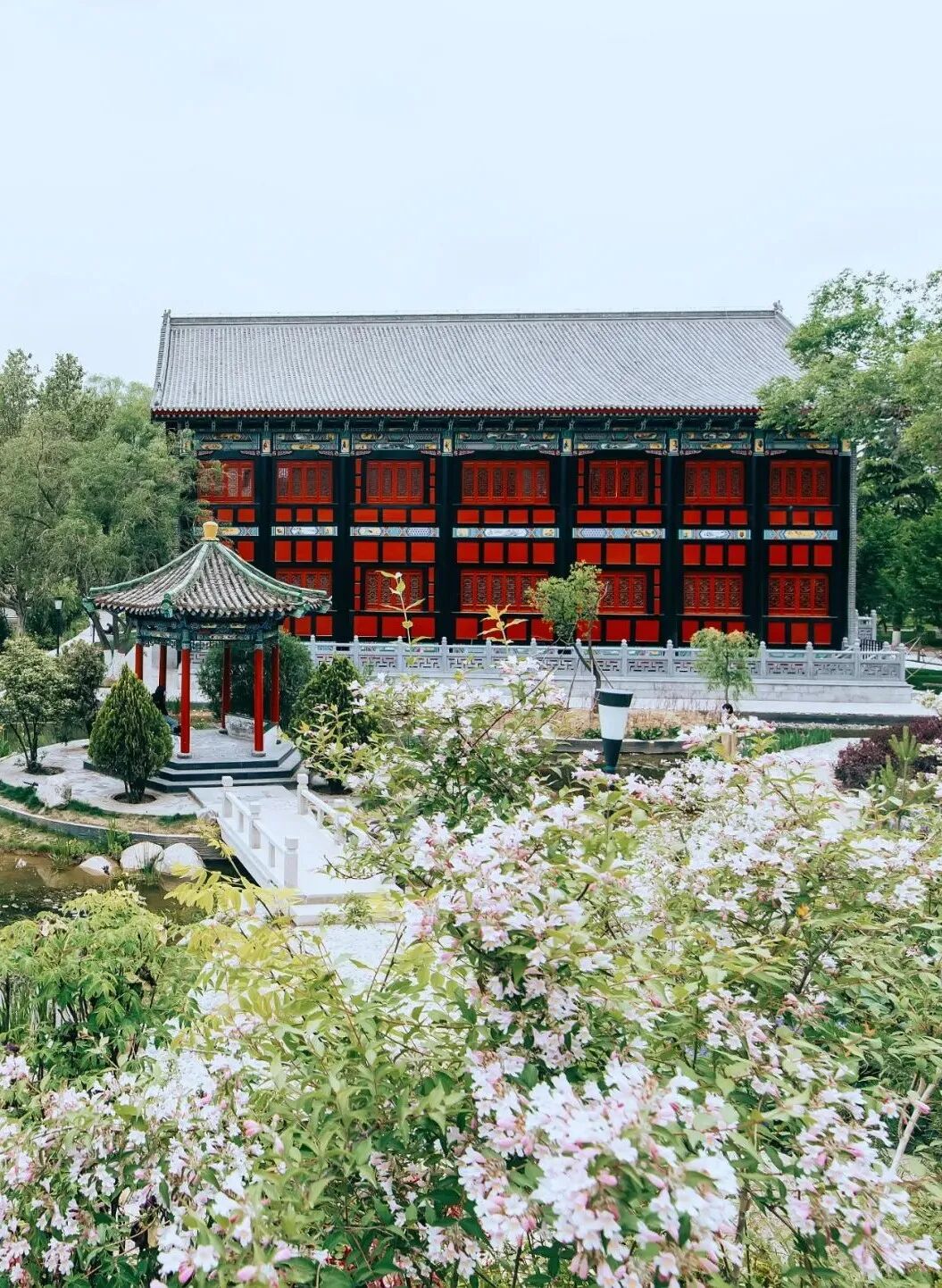 Image related to Why Is 114-Year-Old Lanzhou University Considered the Most Chivalrous University in China?