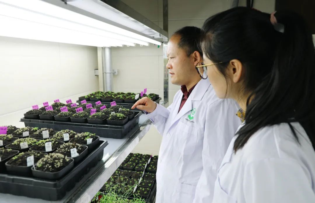 Image related to Why Is 114-Year-Old Lanzhou University Considered the Most Chivalrous University in China?