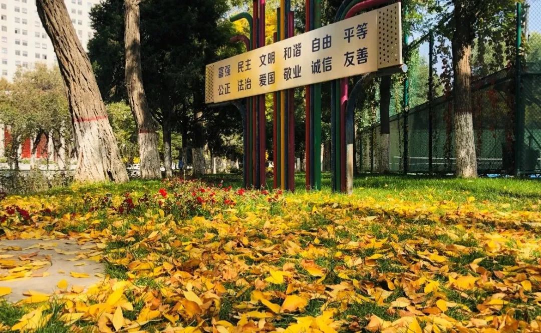 Image related to Why Is 114-Year-Old Lanzhou University Considered the Most Chivalrous University in China?