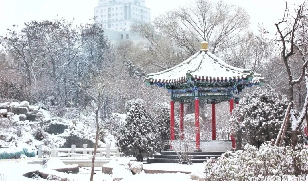Image related to Why Is 114-Year-Old Lanzhou University Considered the Most Chivalrous University in China?